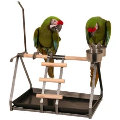 Tabletop Parrot Stand With Toy Hanger & Feeder