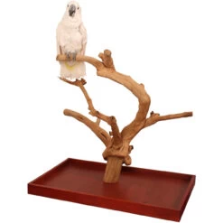 Java Tabletop Tree - Large - Natural Hardwood Parrot Stand