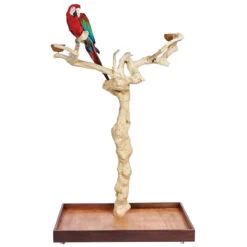 Java Duo Tree - Large - Natural Hardwood Parrot Playstand