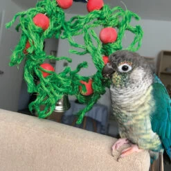 Sisal Christmas Wreath Parrot Toy
