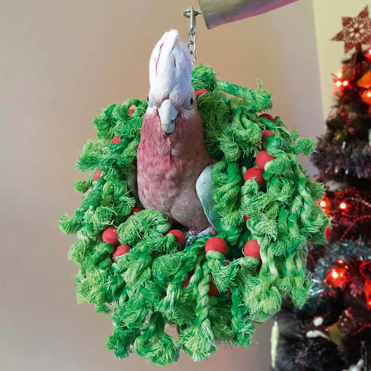 Cotton Christmas Wreath Parrot Toy