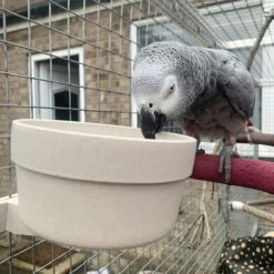 Quick Locking Parrot Food Or Water Bowl - Large
