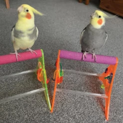 Sanded Nail Trimming Tabletop Parrot Stand - Medium