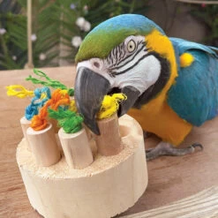 Hide And Treat Puzzle Parrot Toy