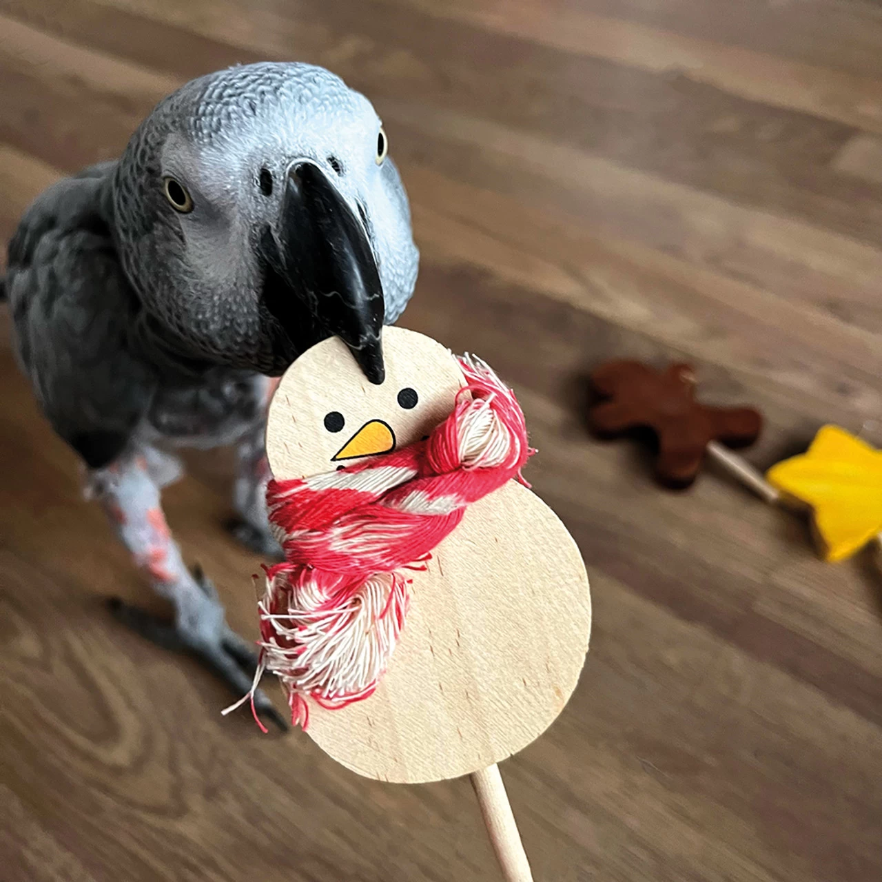 Large Festive Lollipop Parrot Foot Toys - Pack Of 4 - Image 2