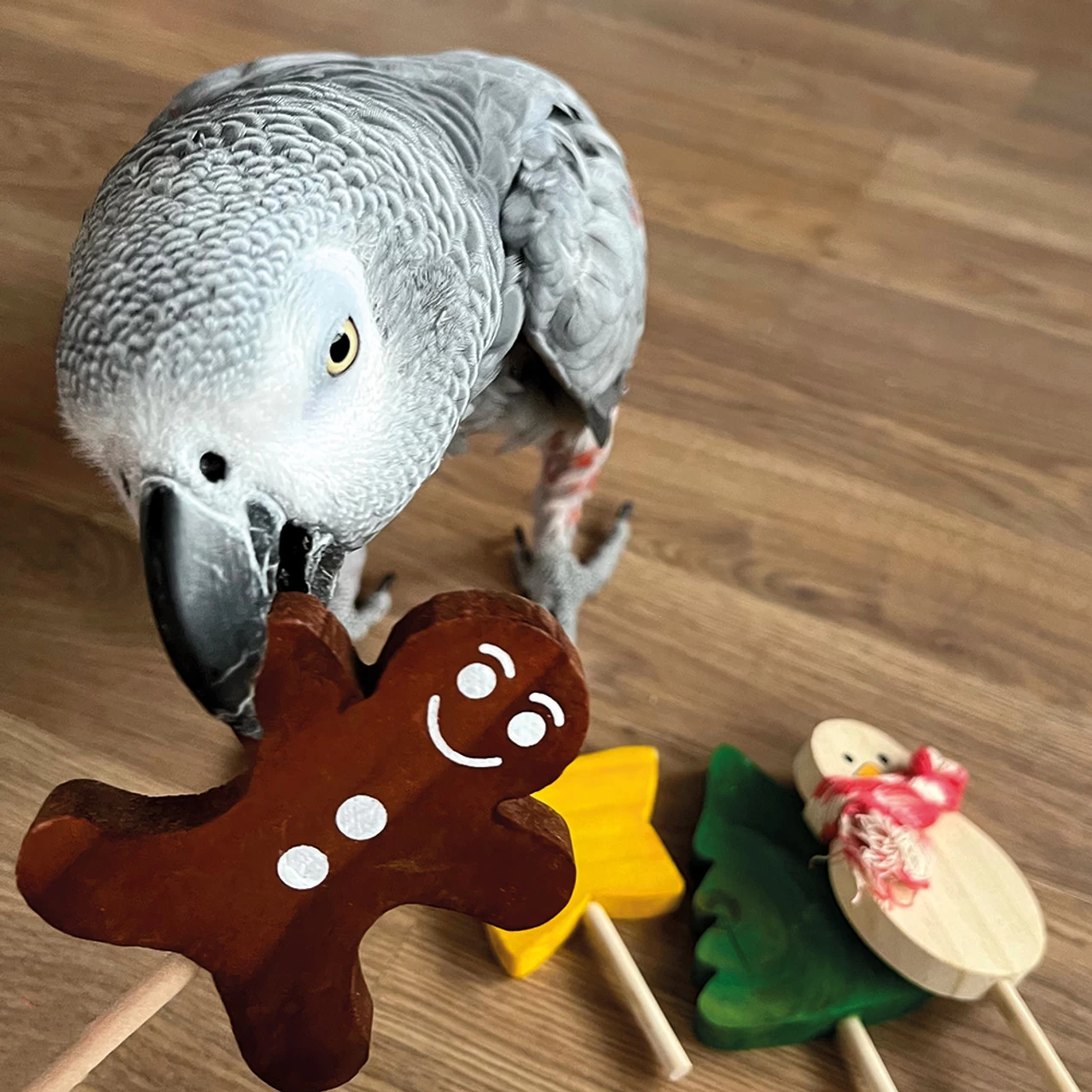 Large Festive Lollipop Parrot Foot Toys - Pack Of 4 - Image 3