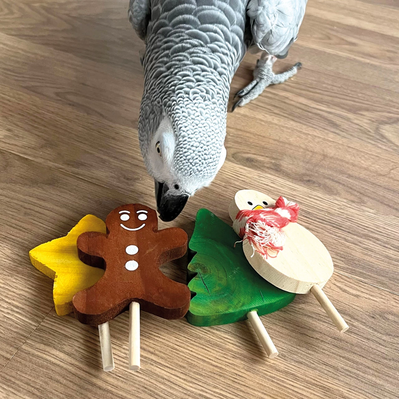 Large Festive Lollipop Parrot Foot Toys - Pack Of 4
