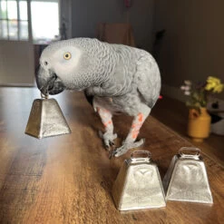 Medium Cowbells Parrot Toy Making Parts Pack Of 3