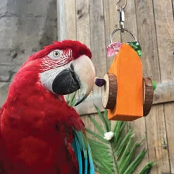 Buoy Chewable Foraging Toy