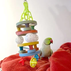 Bagel Barrel Parrot Toy