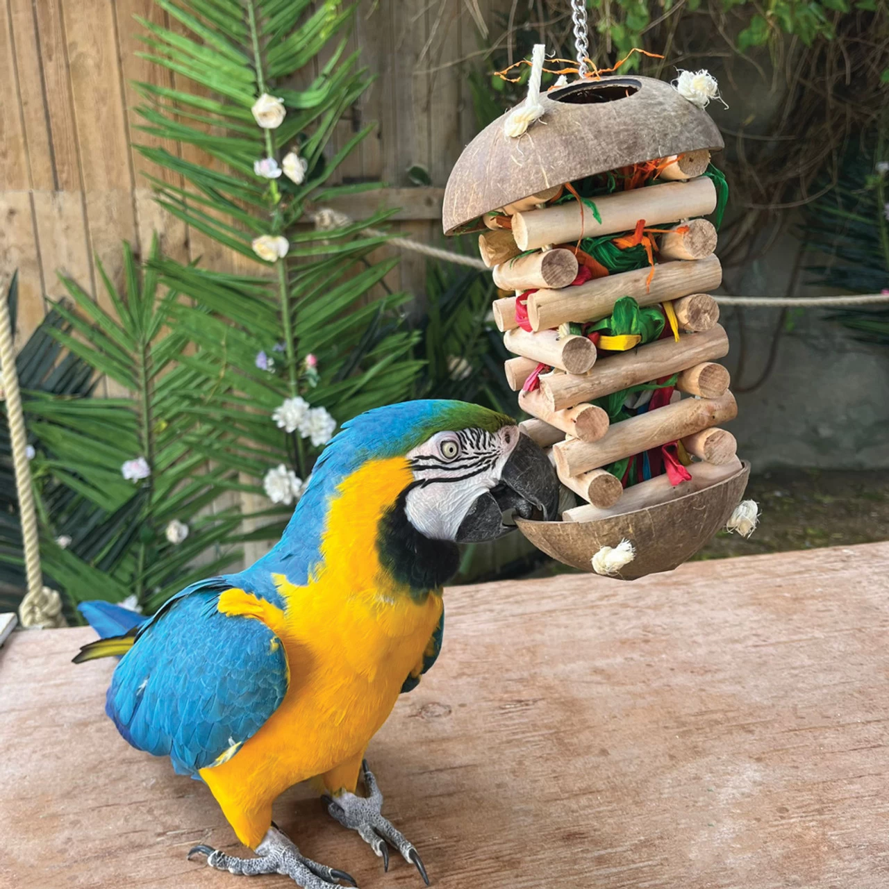 Foraging Hut Parrot Toy - Large - Image 2