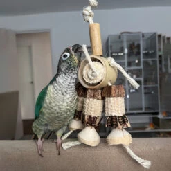 Natural Rings Parrot Toy - Small