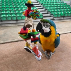 Sneakers Scarecrow Parrot Toy