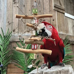 ABC Wood Rolls Stacker Parrot Toy