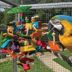 Pterodactyl Parrot Toy