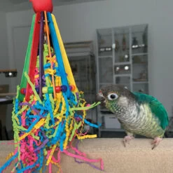 Hatchday Hat Parrot Toy