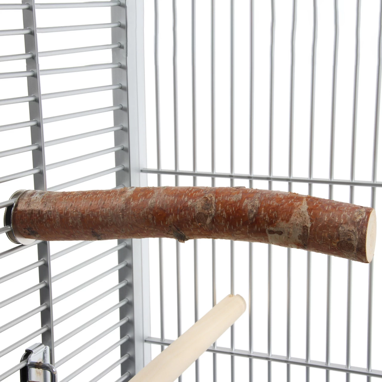 Birch Parrot Perch - Large - Image 3