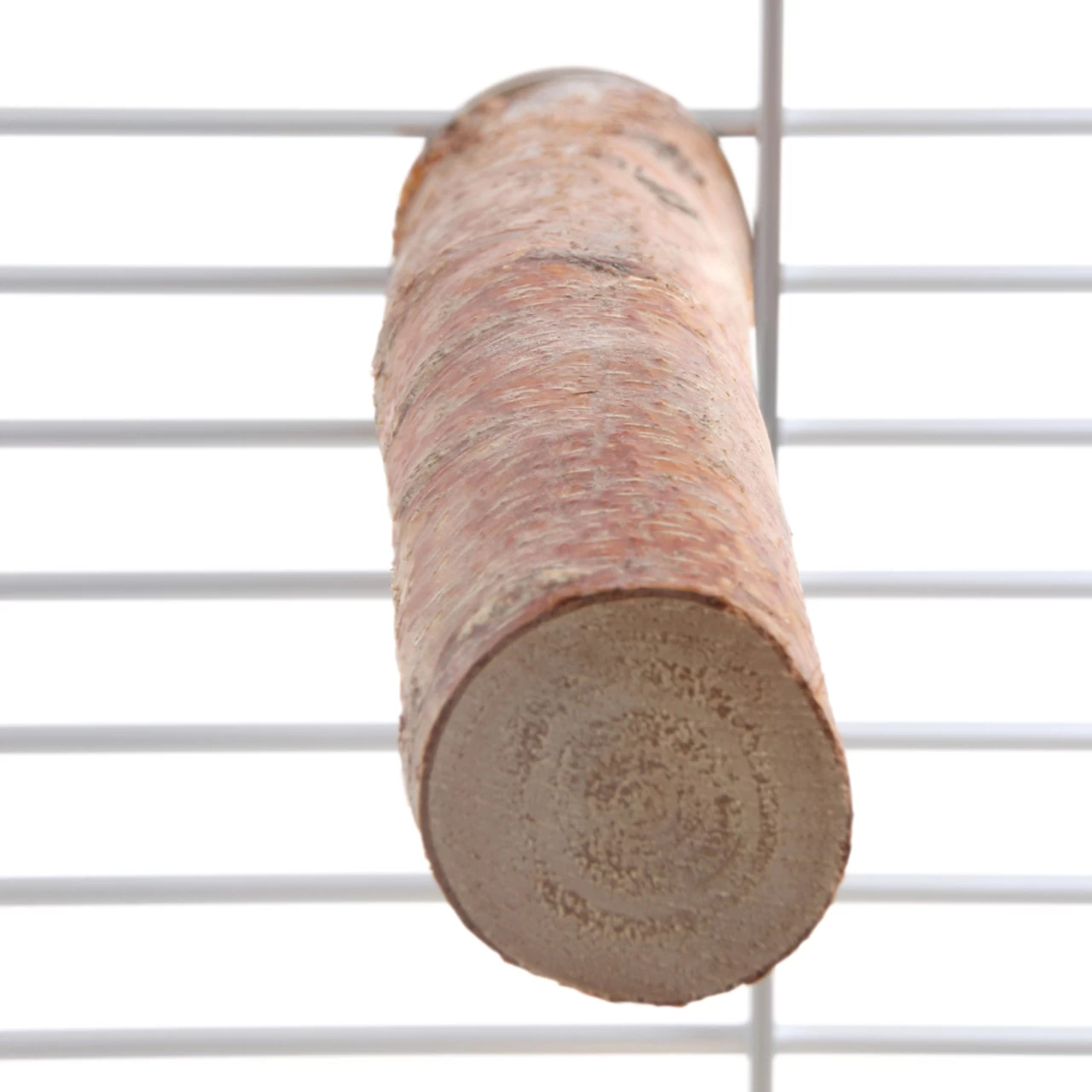 Birch Parrot Perch - Large - Image 4