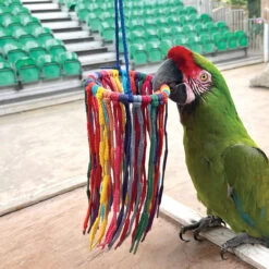 Aglet Heaven Preening Parrot Toy