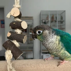 Naturals Log Block Stackers Parrot Toy - Small