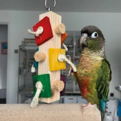 Busy Log Parrot Toy - Small