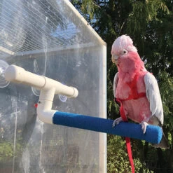 Sanded Nail Trimming Shower Perch For Parrots - Large