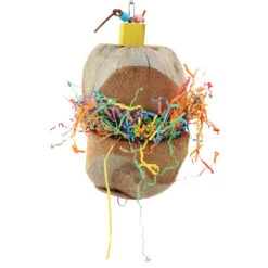 Coconut Treasure Chest Parrot Toy