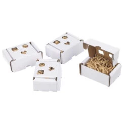Foraging Boxes Cardboard Parrot Toys Pack Of 4