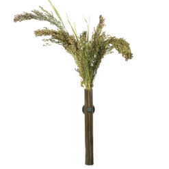 Panicum Grass Natural Pet Bird Treat 40g