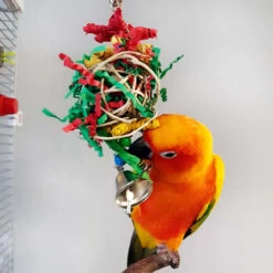 Christmas Crinkle Little Star Parrot Toy