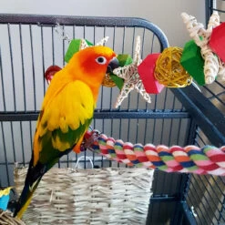 Christmas Garland Parrot Toy - Large