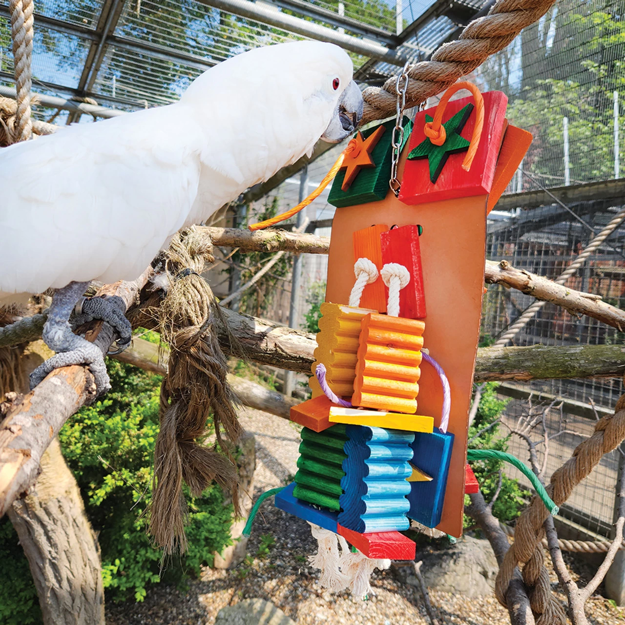 Agabus Wood & Rope Parrot Toy - Large