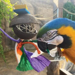 Coco Surprise Chewable Foraging Parrot Toy