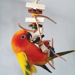 Daisy Wood & Leather Parrot Toy