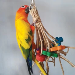 Shredding Legs Paper Rope Parrot Toy - Small