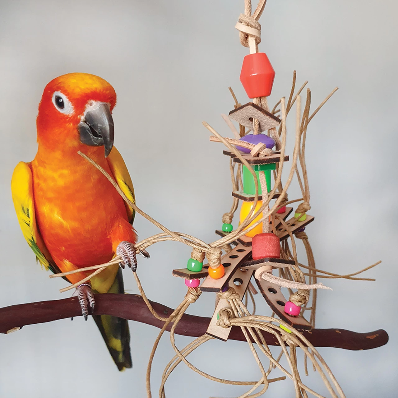 Spirou Paper Rope And Leather Parrot Toy