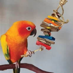 Tikky Tiny Stacker Small Parrot Toy