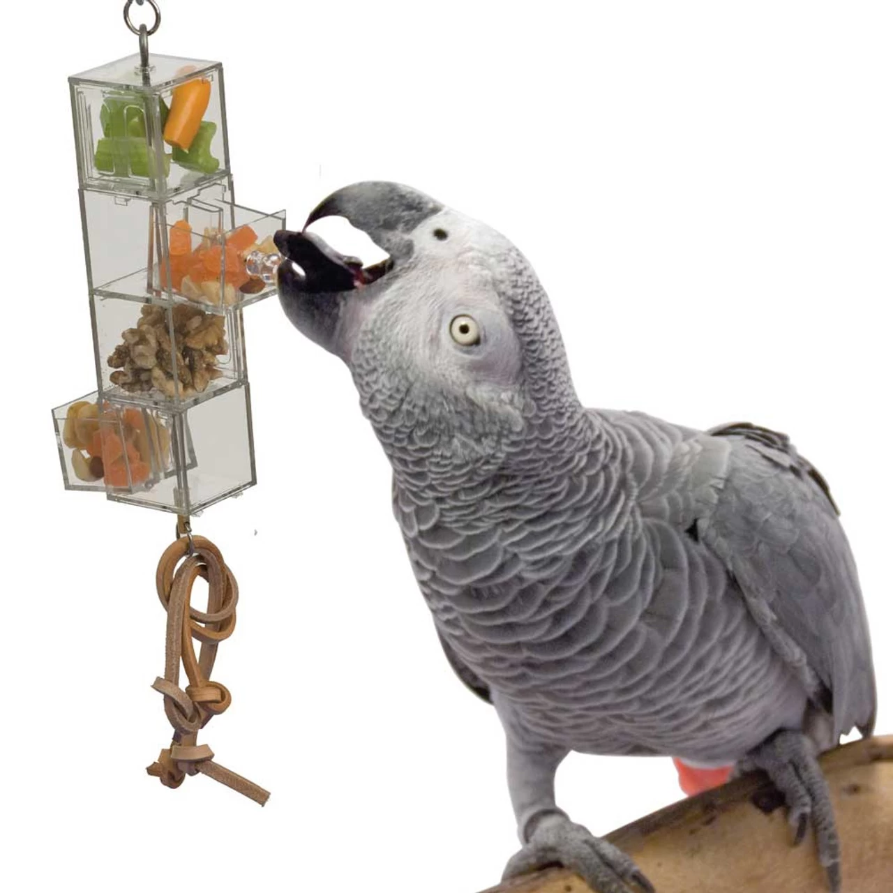 Foraging Tower Mentally Stimulating Foraging Parrot Toy