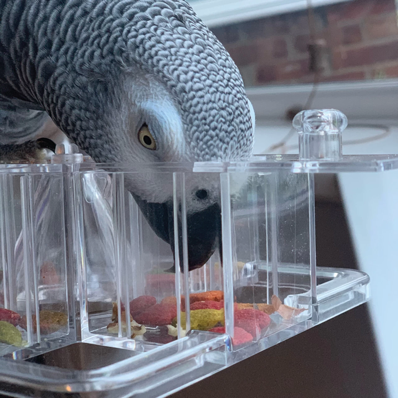 Creative Foraging Carousel - Mentally Stimulating Parrot Toy - Image 3