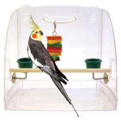 Window Perch & Parrot Play Centre With Feeding Cups
