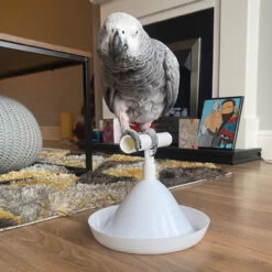 The Percher - Portable Parrot Training Perch