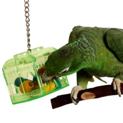 Treasure Hunt Foraging Parrot Toy