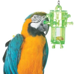 Snack Rack - Multi-Level Foraging Toy For Parrots