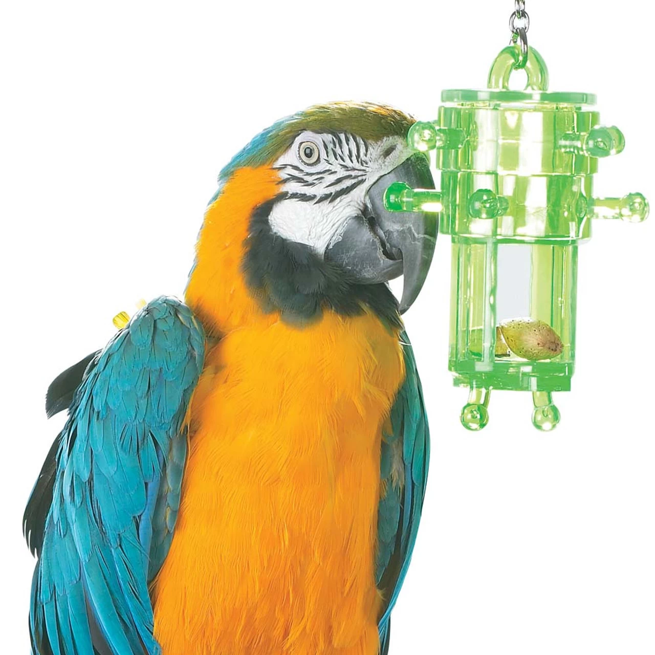 Snack Rack - Multi-Level Foraging Toy For Parrots