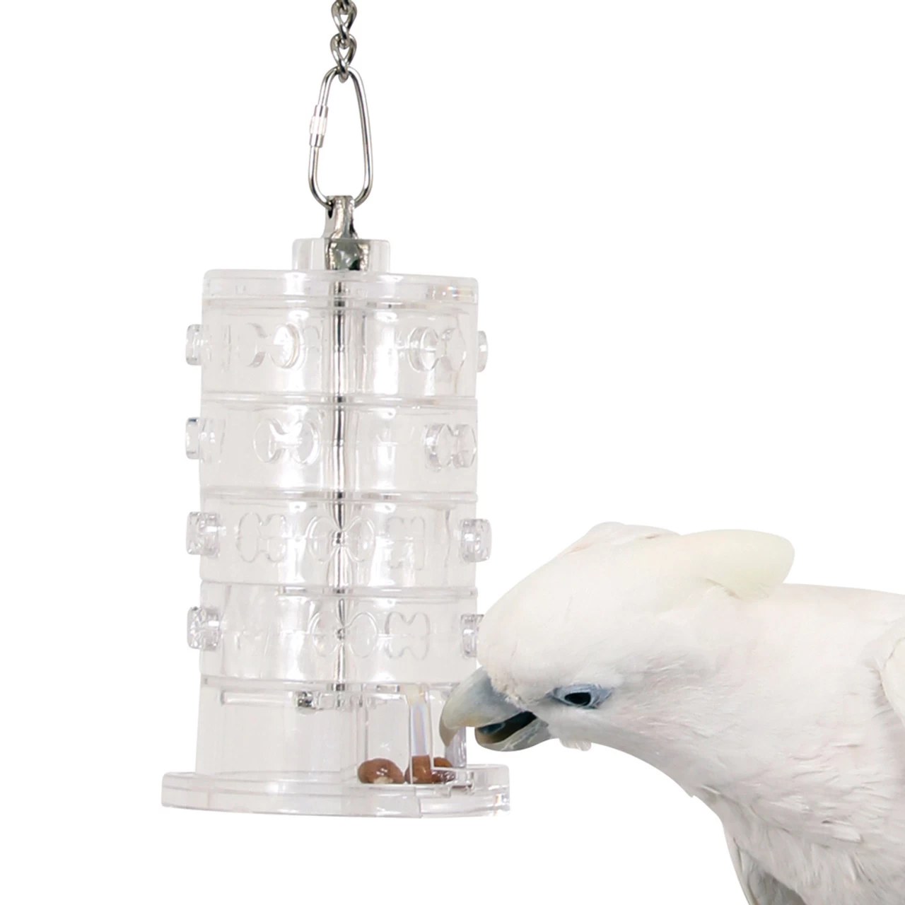 Rings Of Fortune - Advanced Foraging Toy For Parrots - Image 2