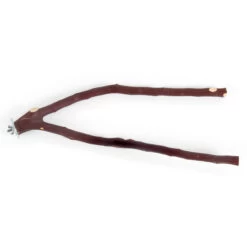 Manzanita Forked Perch 12" (30cm) - Small
