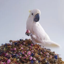 Polly's 100g Natural Simply Floral Complementary Parrot Food