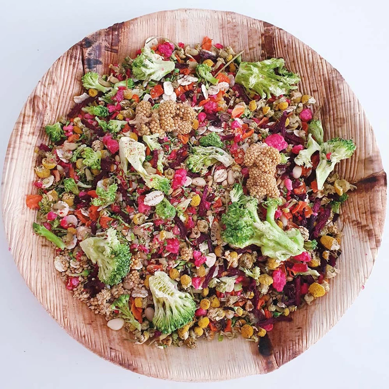 Polly's Naturals Forage Feast Small Parrots 100g - Image 3