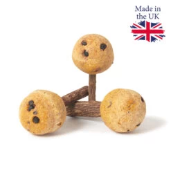 Parrot Cafe Elderberry Lollipop Parrot Treats - 100g