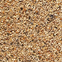 Johnston And Jeff ABZ Finch Seed 20Kg